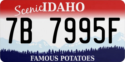 ID license plate 7B7995F