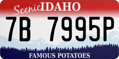 ID license plate 7B7995P
