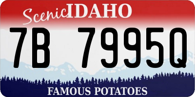 ID license plate 7B7995Q