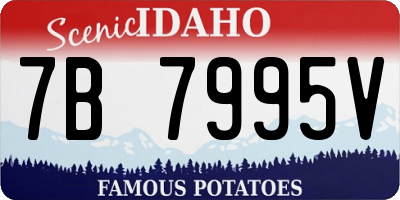 ID license plate 7B7995V