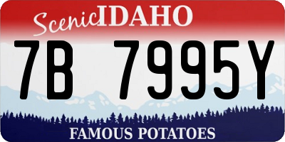 ID license plate 7B7995Y