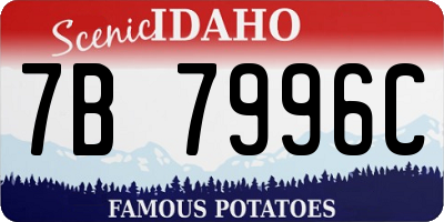 ID license plate 7B7996C