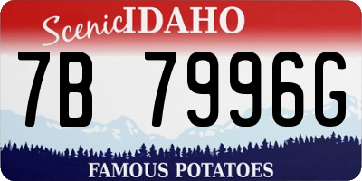 ID license plate 7B7996G