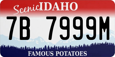ID license plate 7B7999M