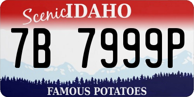 ID license plate 7B7999P