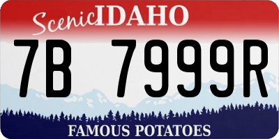 ID license plate 7B7999R