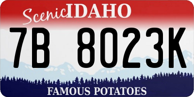 ID license plate 7B8023K