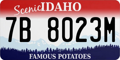 ID license plate 7B8023M