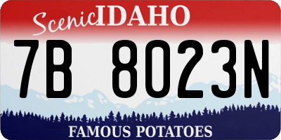 ID license plate 7B8023N