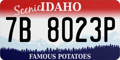 ID license plate 7B8023P