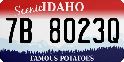 ID license plate 7B8023Q
