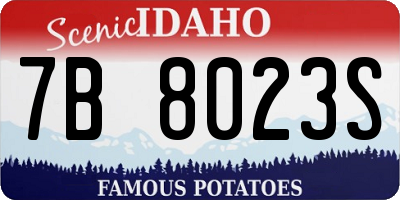 ID license plate 7B8023S