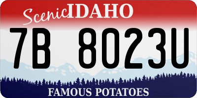ID license plate 7B8023U