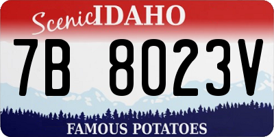 ID license plate 7B8023V