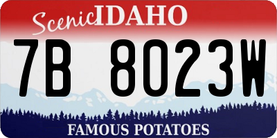ID license plate 7B8023W