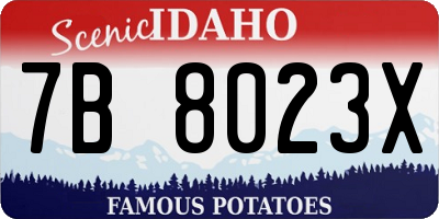 ID license plate 7B8023X