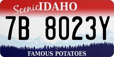 ID license plate 7B8023Y