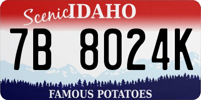 ID license plate 7B8024K