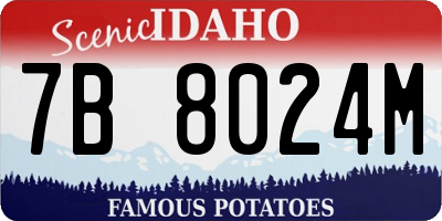 ID license plate 7B8024M