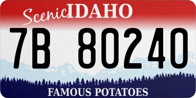 ID license plate 7B8024O