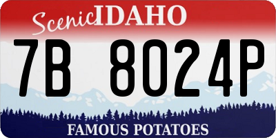 ID license plate 7B8024P