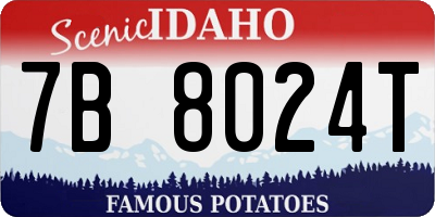 ID license plate 7B8024T