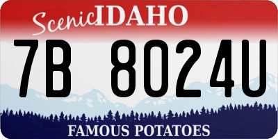 ID license plate 7B8024U