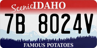 ID license plate 7B8024V