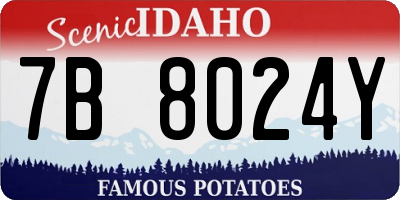 ID license plate 7B8024Y