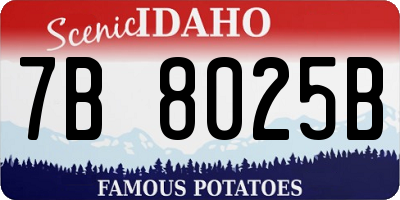 ID license plate 7B8025B