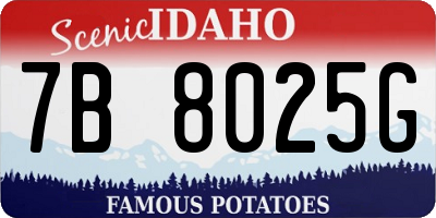 ID license plate 7B8025G