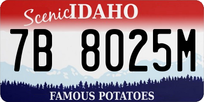 ID license plate 7B8025M