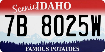 ID license plate 7B8025W