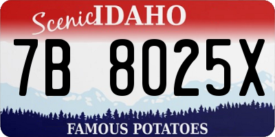 ID license plate 7B8025X
