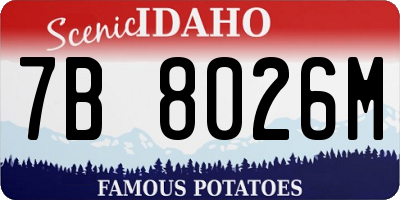ID license plate 7B8026M