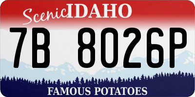 ID license plate 7B8026P