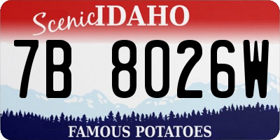 ID license plate 7B8026W