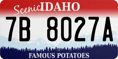 ID license plate 7B8027A