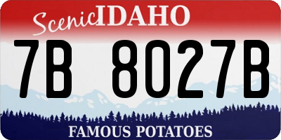 ID license plate 7B8027B
