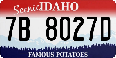ID license plate 7B8027D