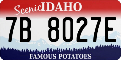 ID license plate 7B8027E