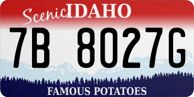 ID license plate 7B8027G