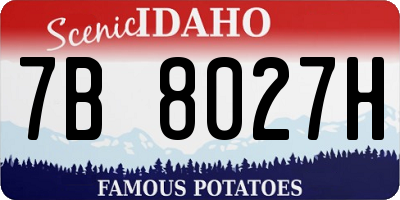 ID license plate 7B8027H