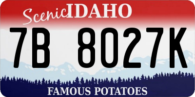 ID license plate 7B8027K