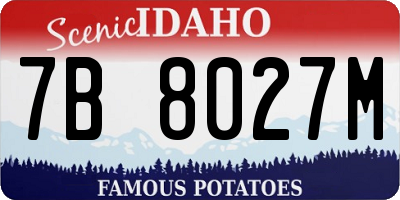 ID license plate 7B8027M