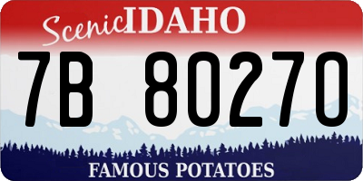 ID license plate 7B8027O