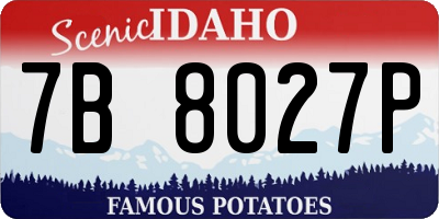 ID license plate 7B8027P