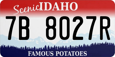 ID license plate 7B8027R
