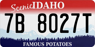 ID license plate 7B8027T