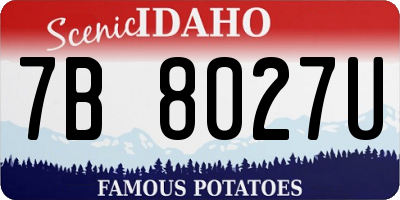 ID license plate 7B8027U